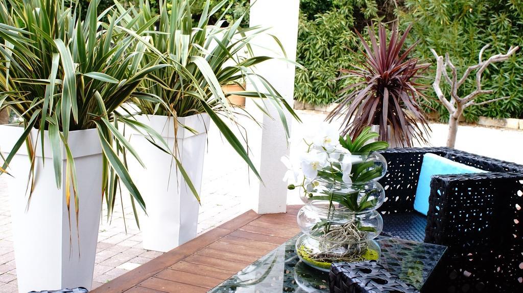 La Villa Blanche Sanary-sur-Mer Pokoj fotografie