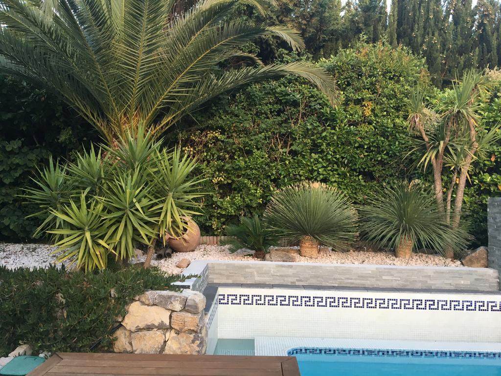 La Villa Blanche Sanary-sur-Mer Exteriér fotografie